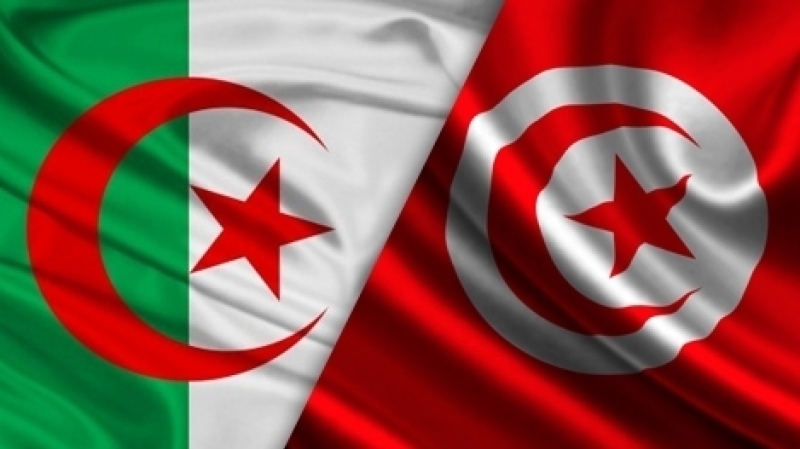 تونس الجزائر