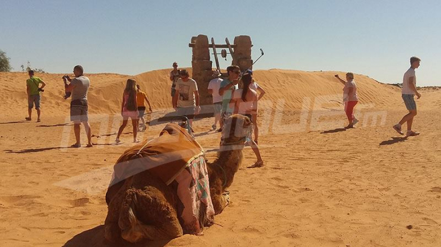 انطلق موسم السياحة الصحراوية وتوزر تستقبل ضيوفها