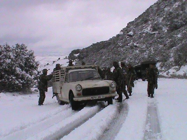 ثلوج في الجزائر