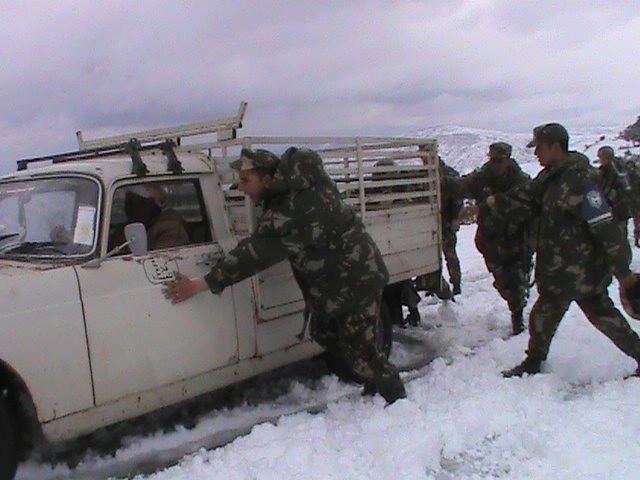 ثلوج في الجزائر