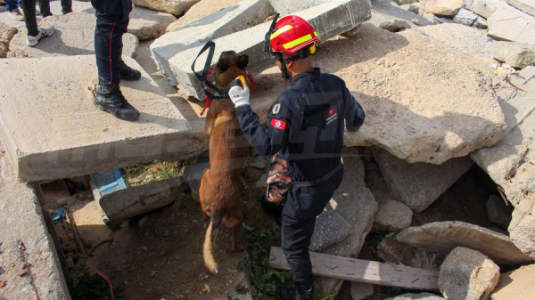 L' héroïque Unité canine de la protection civile
