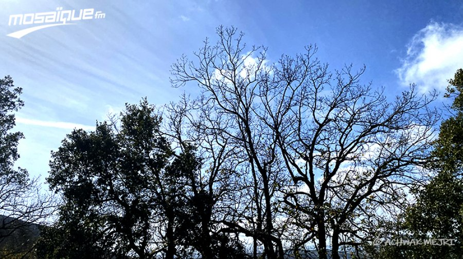 La météo du mardi 14 novembre 2023