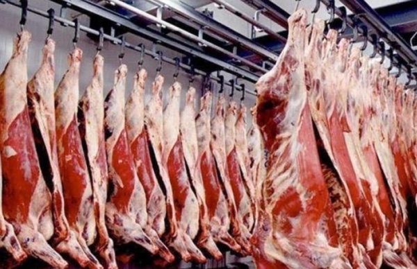 النائب المباركي: كيف انخفض عدد عمال شركة اللحوم من 1800 إلى 40 فقط؟