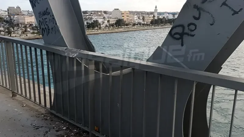 Pont de Bizerte: Seule la structure métallique touchée