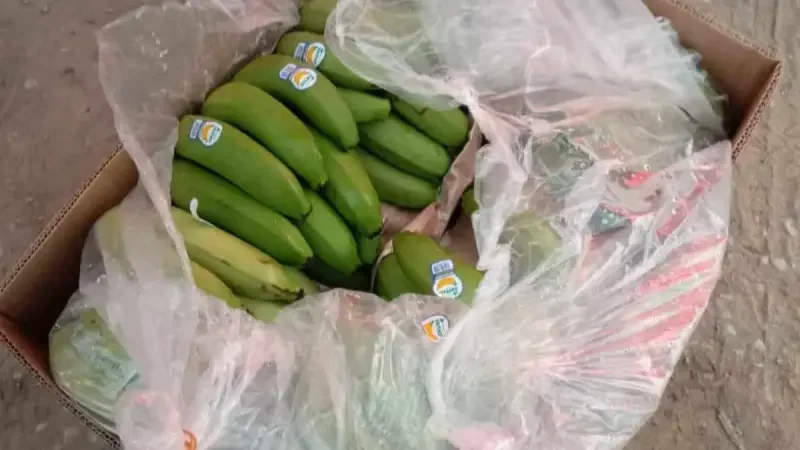 Arrivée des premières cargaisons de bananes importées