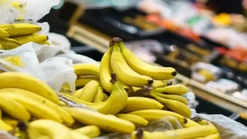 Appel aux commerçants à s'approvisionner en bananes égyptiennes