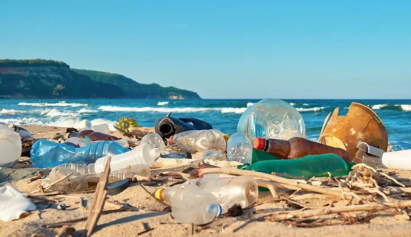 Pollution du littoral: Le plastique et les mégots les plus nocifs