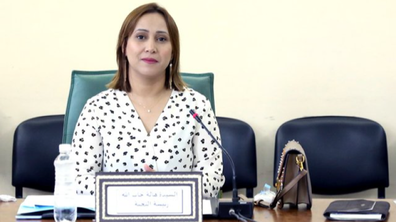 رئيسة لجنة الحقوق: على الحكومة توضيح خطتها للتعامل مع ملف المهاجرين