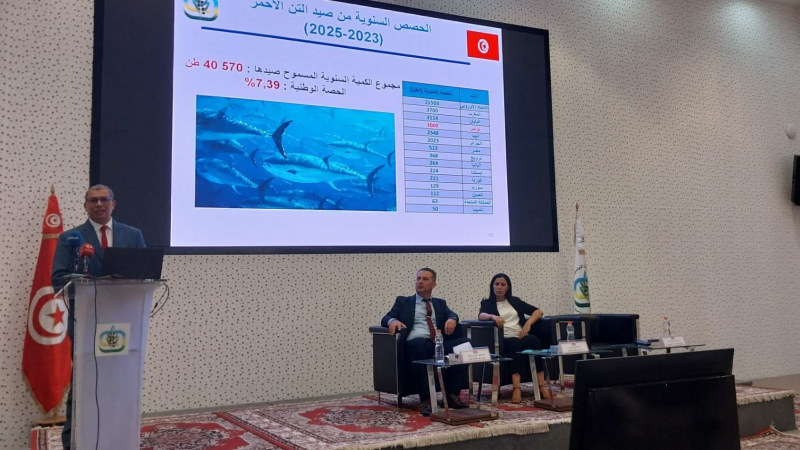 مسؤول بوزارة الفلاحة: لهذه الأسباب يتم تصدير التن الأحمر