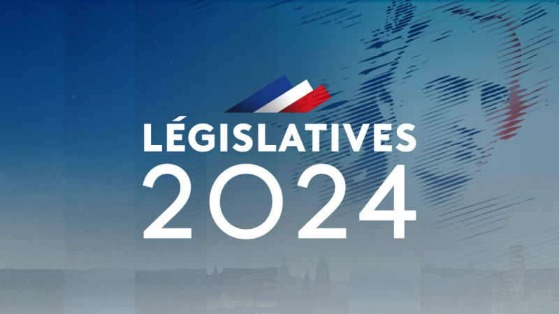 France - Législatives: Les thèmes brûlants... Qui propose quoi?