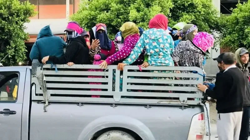 Sbikha: Une ouvrière agricole tuées et 14 blessées dans un accident