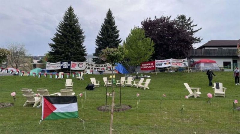 لدعمهم فلسطين.. جامعة كندية ترفع دعوى ...