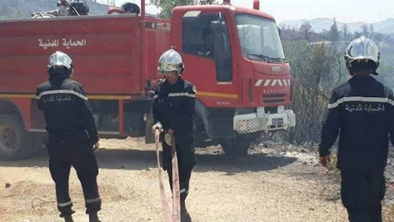 توزر: فلاحو تمغزة يطالبون بإحداث مركز ...