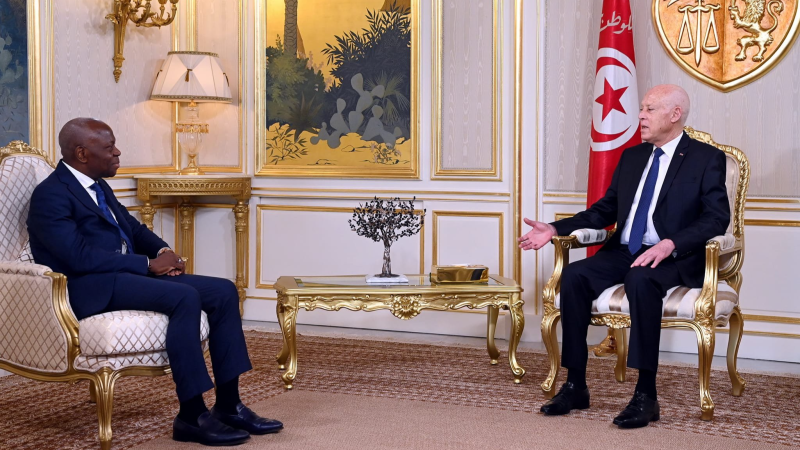 رئيس الجمهورية يستقبل المدير العام ...