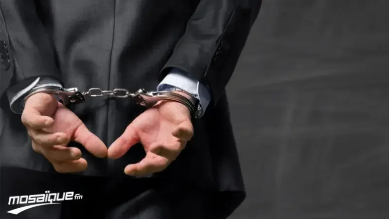 حرفية في التّحيل وبصيغ مختلفة: تفاصيل عن ...