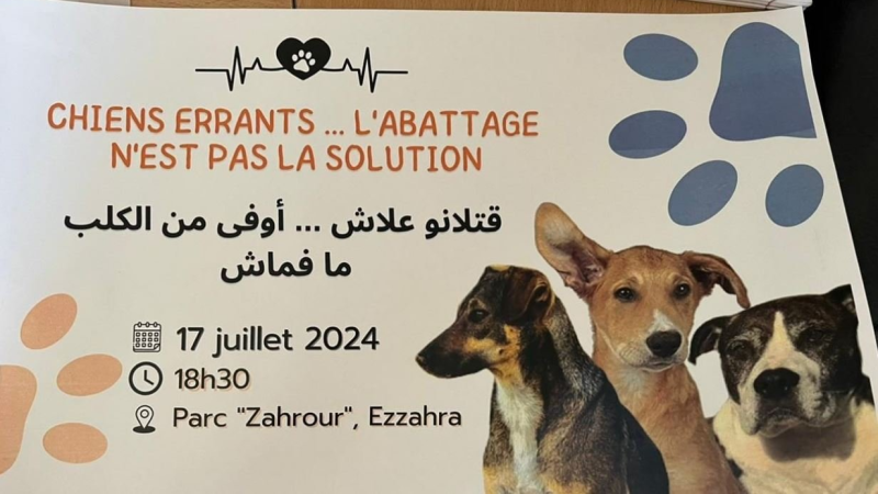 تظاهرة تحسيسية في مدينة الزهراء تطرح ...