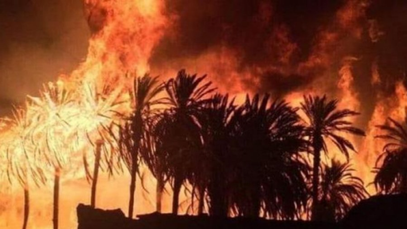 حريق بواحة توزر القديمة وتضرّر 600 من أصول ...
