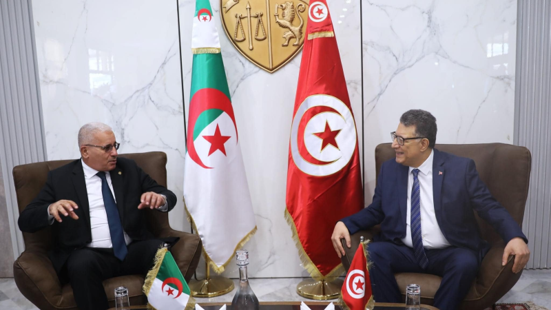 بوغالي: زيارتنا لتونس تنفيذ لبروتوكول ...
