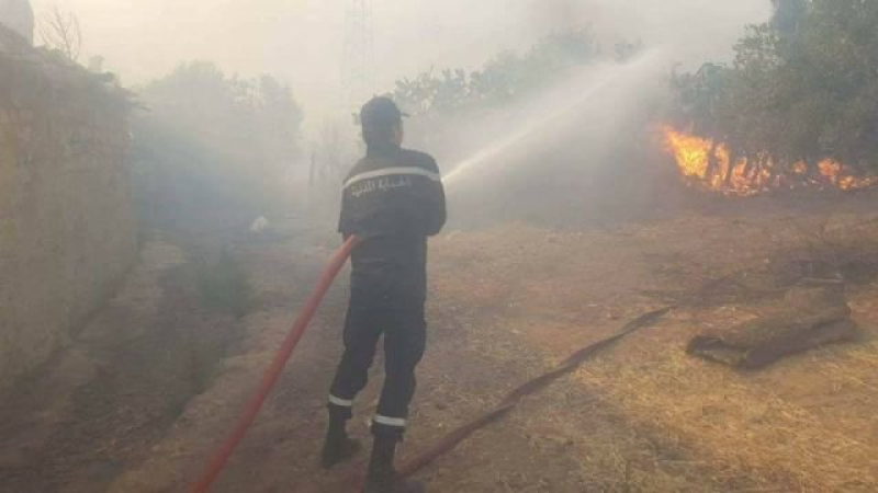 الحماية المدنية: السيطرة على 5 حرائق في ...