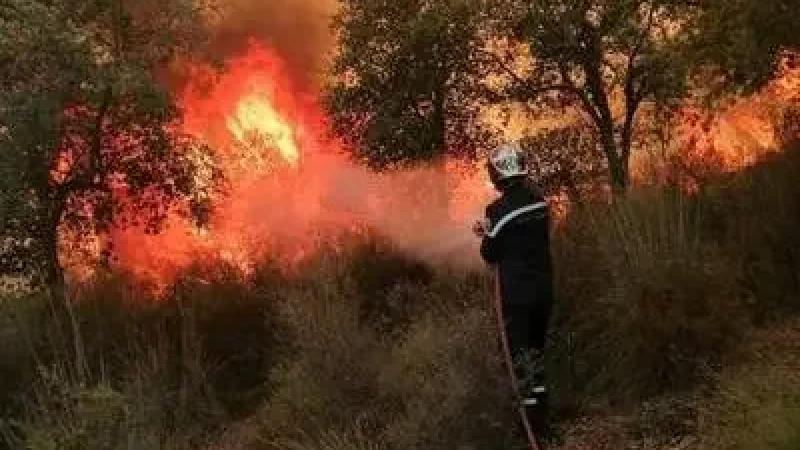 سجنان: تواصل عمليات إطفاء حريق حكارة.. ...