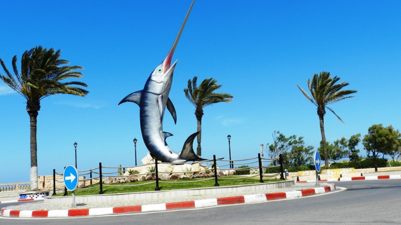 المهدية: تراجع عدد السياح الوافدين بنسبة ...