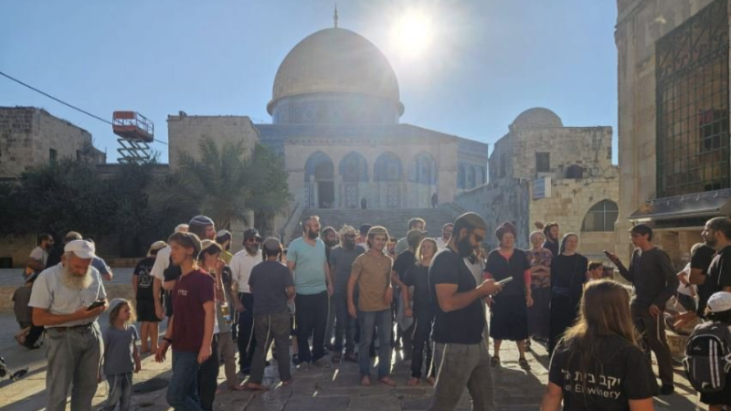 خطيب الأقصى: الاقتحامات تجاوزت الخطوط ...