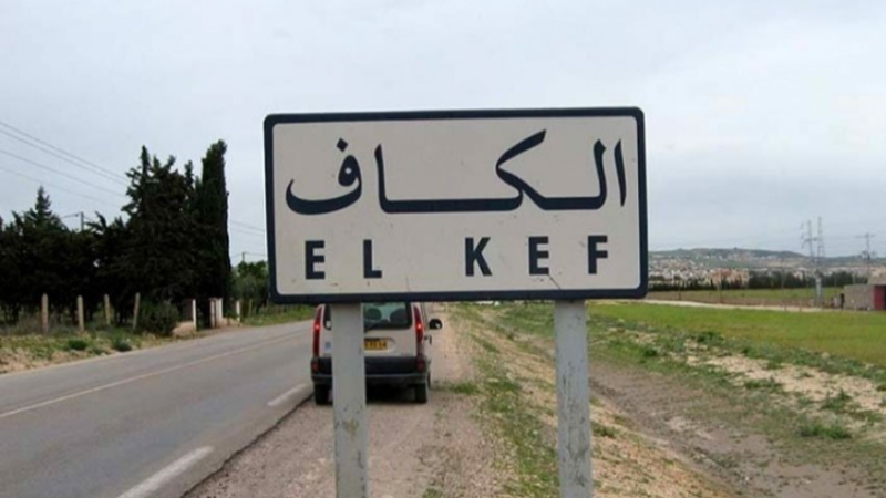 الكاف: فيضان أودية بمعتمدية السرس ...