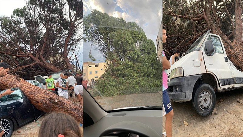 أمطار في نابل: إصابة 10 أشخاص وتضرر سيارات ...
