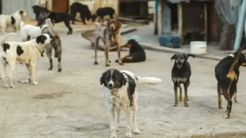 العودة المدرسية..جمعية تدعو إلى حماية ...