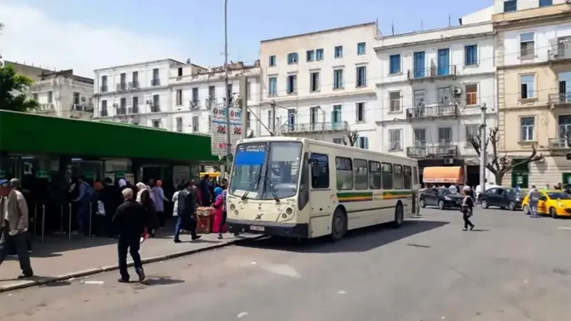 Bus