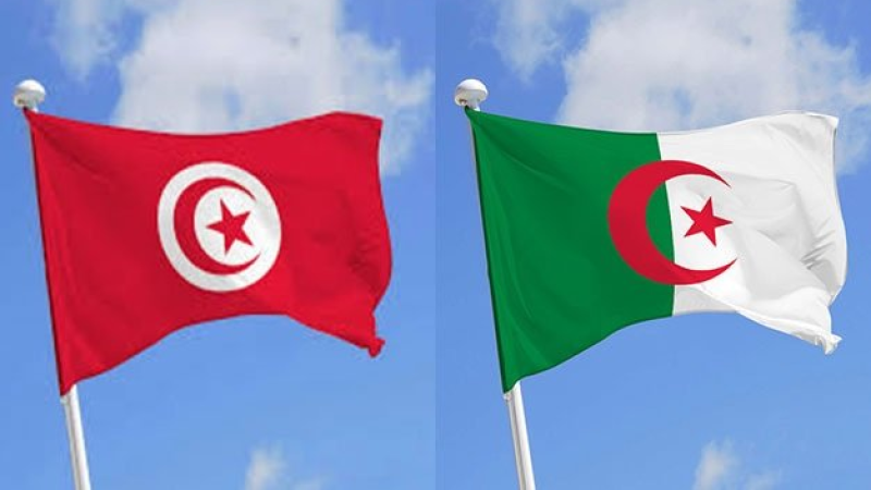 وزير الخارجية الجديد ونظيره الجزائري ...