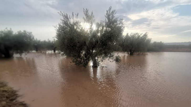 سيدي بوزيد..هطول كميات هامة من الأمطار في ...