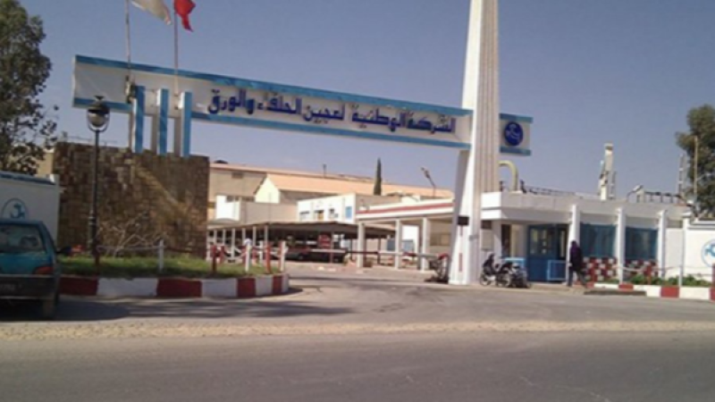 والي القصرين: معمل الحلفاء سينتج قريبا ...