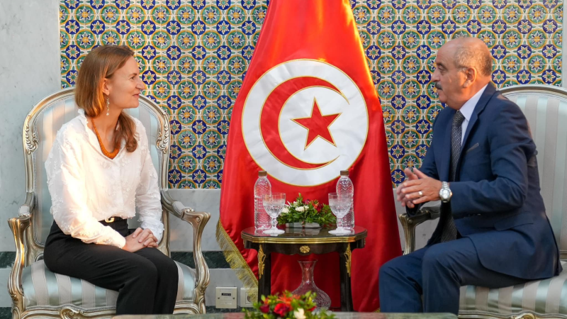 وزير الشؤون الخارجية يلتقي سفيرة فرنسا ...