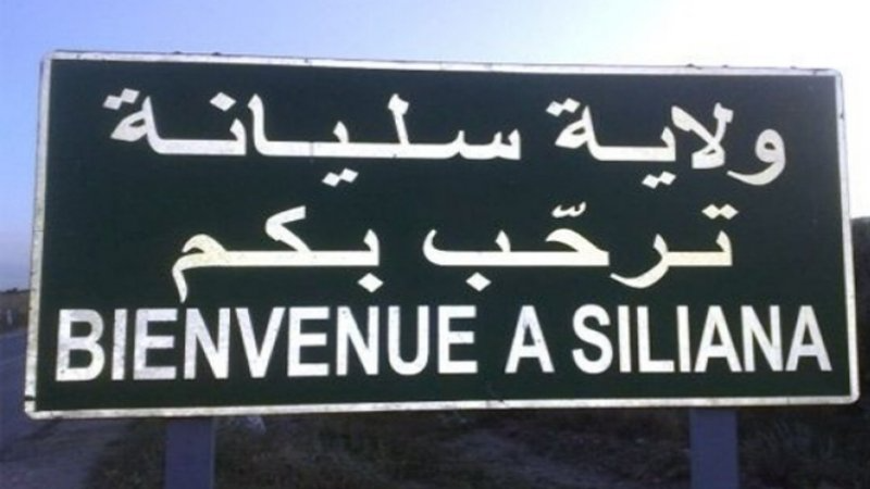 سليانة: 96 % نسبة تقدم اشغال صيانة القاعة ...