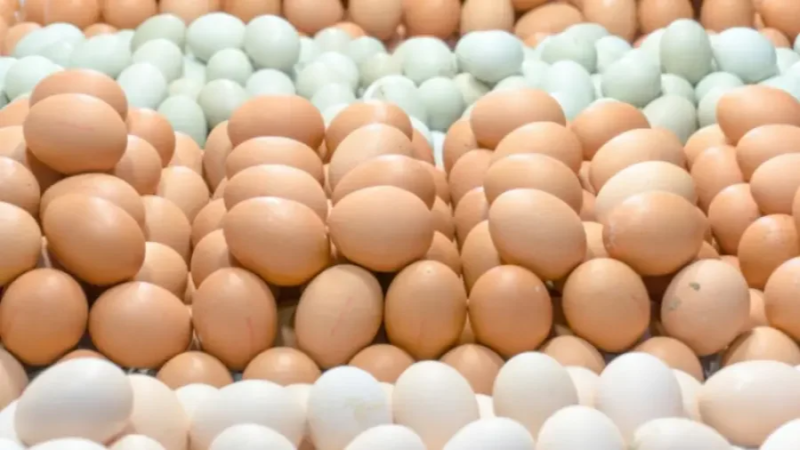 oeufs