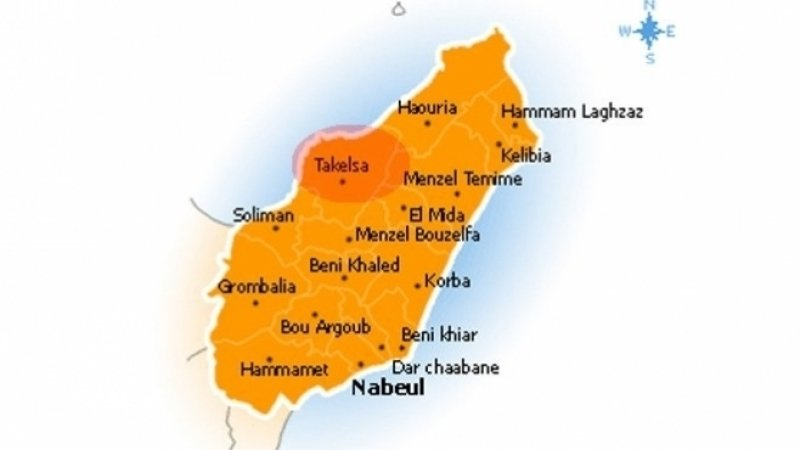 نابل: لجنة مجابهة الكوارث تدعو إلى الحذر ...