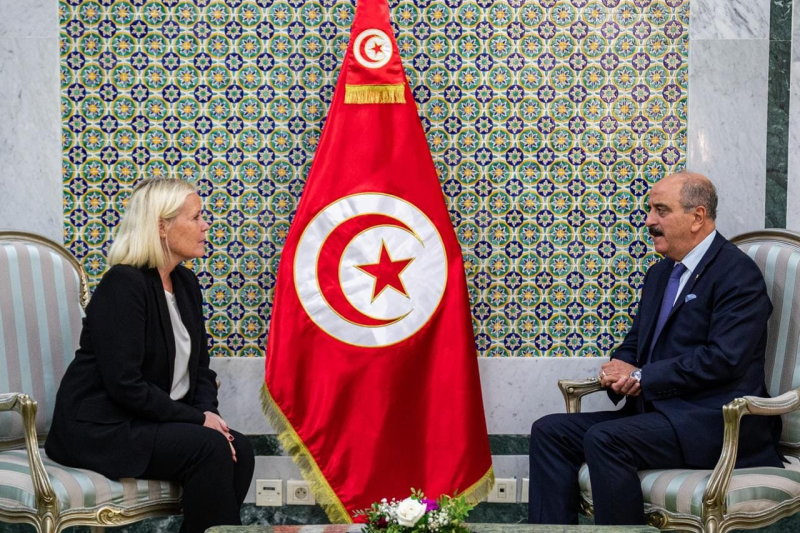 Mohamed Ali Nafti et l'ambassadrice du Royaume de Suède