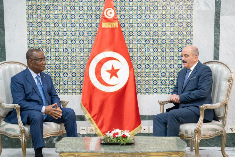 Nafti avec le chef de mission de l'observation électorale