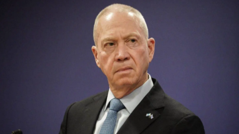 Yoav Gallant