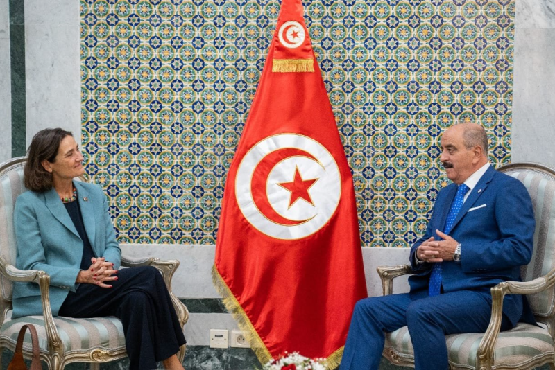 Mohamed Ali Nafti et l'ambassadrice des Pays-Bas