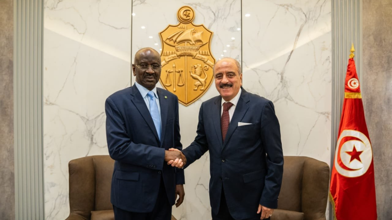 Mohamed Ali Nafti et son homologue mauritanien
