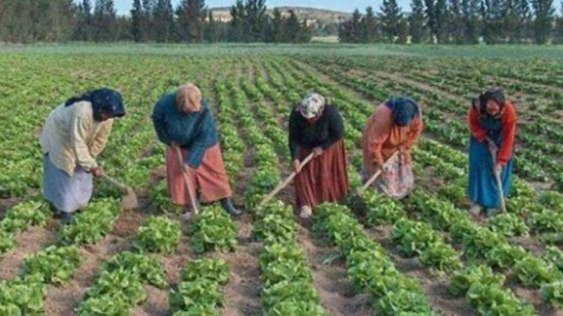 باحثة في النوع الإجتماعي: يجب مراجعة عدة ...