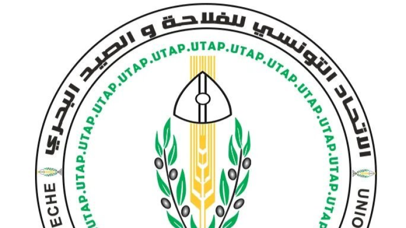 رئيس اتّحاد الفلاحة: جلسات مع السلط ...