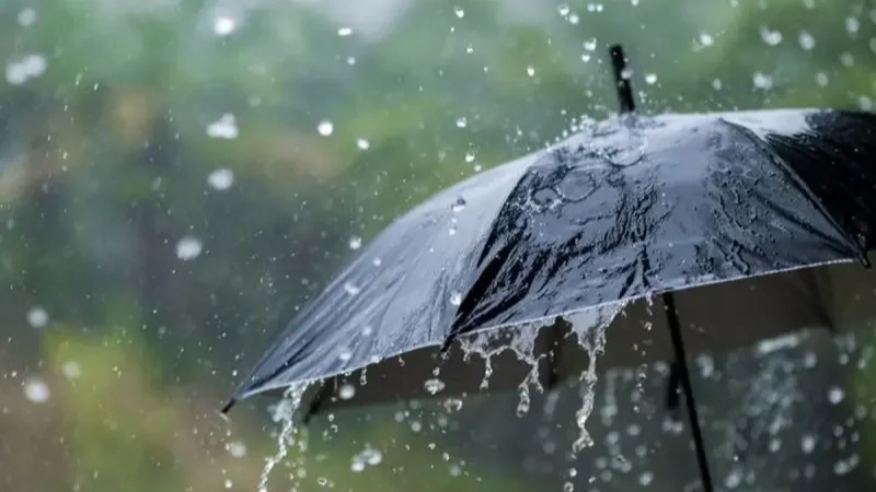 Pluies