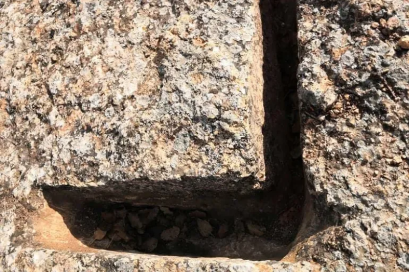 حدائق قرطاج: الإحتفاظ بكهل من أجل ...