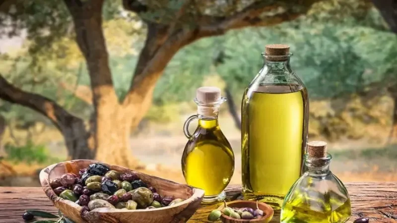 Farhi :Moins de 20 DT le litre d'huile d'olive ne couvre pas les coûts