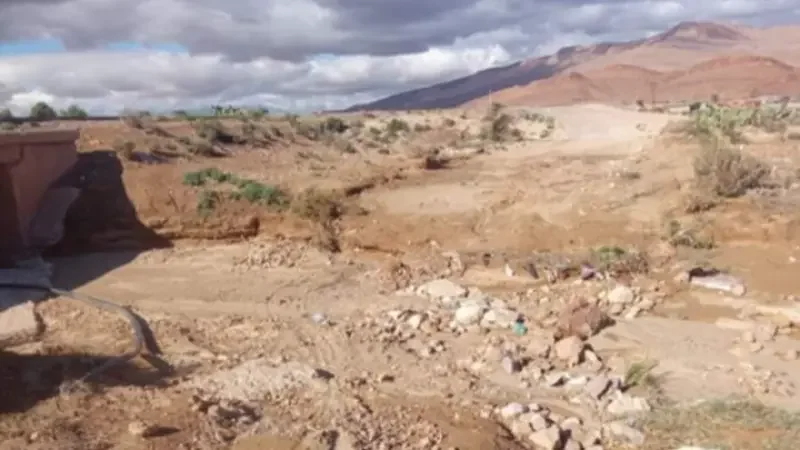 بعد توجيه نداء استغاثة عبر موزاييك.. ...