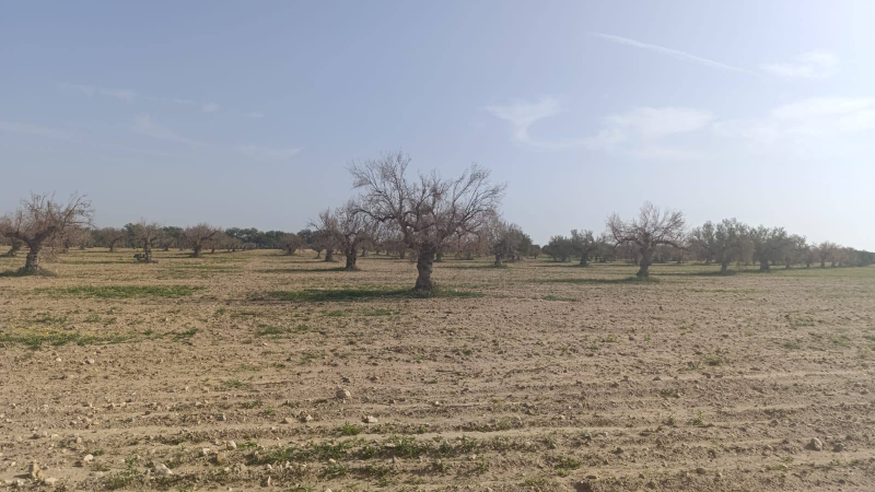 سبيطلة: إجراءات قانونية ضد مسؤولين عن ...
