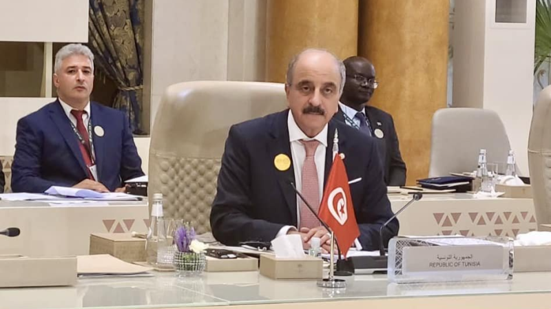 في قمة الرياض: وزير الخارجية يجدد موقف ...